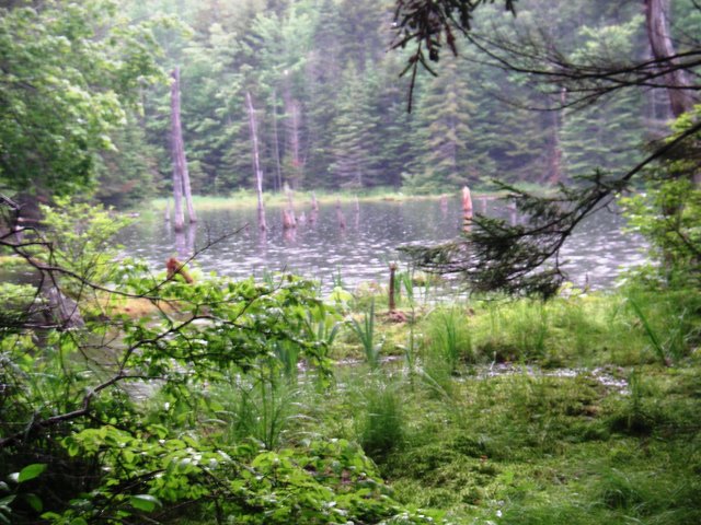 Reservoir at Woodford State Park